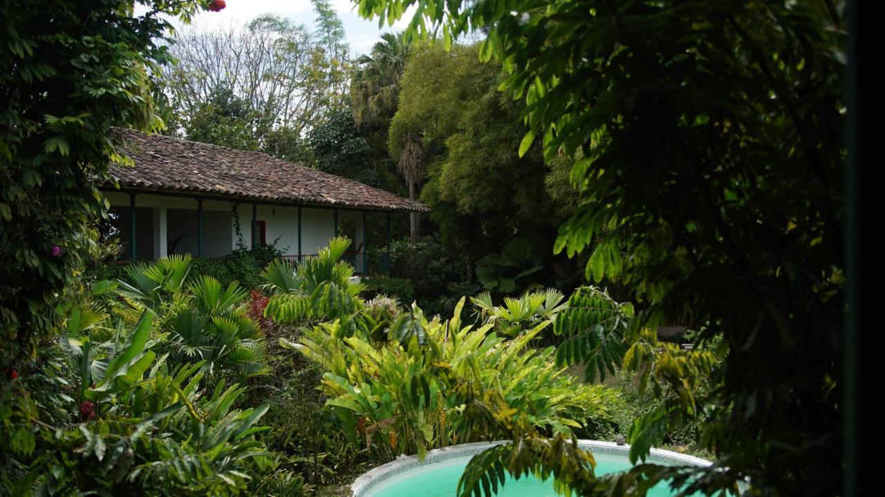 Finca La Argelia Quimbaya Kültér fotó